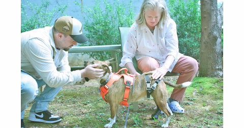 Alex Keeling helps UNG student Cathy McLendon strap on a prosthetic leg that McLendon designed and produced through 3D technology for his dog Luna.