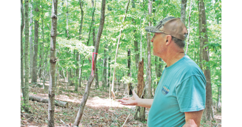 Dr. Trent Conner points out a red survey flag marking the limit of disturbance for a potential two-lane paved road that would run behind his Rock House Road property.