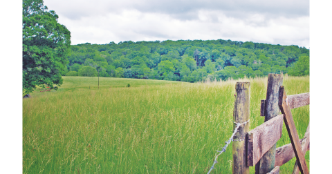 The 110.1-acre property located at 3084 Town Creek Church Road will likely be the future site of the DiVine Village Luxury RV Resort.