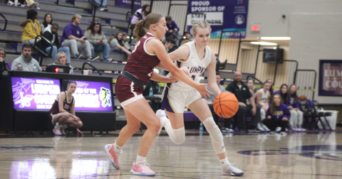 Lumpkin County player Alayna Lindley drives down the court against the Tigers.