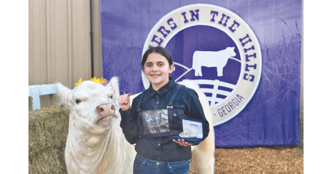 Lumpkin County sixth grade student Mackenzie Wigington celebrates a hard-fought victory in Showmanship with her white heifer, Angel. (Photo submitted to The Nugget)