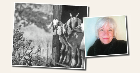 A posthumous exhibit featuring the work of Dr. Alice Sampson-Cordle will start Tuesday, October 28.  Joel Cordle said his wife’s “personal favorite photo” was taken at a farm near Bishop, Ga. “Goats get a lot of people’s attention—You don’t see goats in The Nugget every week.”