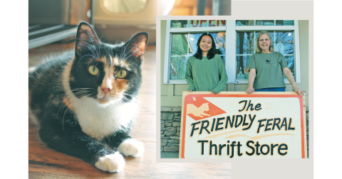 LEFT: Tigra the calico cat is ready to greet visitors at the Feral Cat Program of Georgia’s private rescue shelter located at 4318 S. Chestatee Street. RIGHT: UNG senior Graceson Casey and Jan House (right) support FCPGA by volunteering at The Friendly Feral Thrift Store.