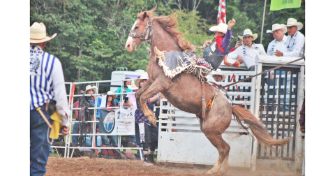 The local R-Ranch hosted the 37th annual Mountain Top Rodeo last weekend. Fans packed the stands and top riders from all over attended the event. Pictured: Tate Minor competes in the saddle bronc event.