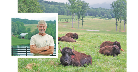Owner Kim Chapman stands in front of a breathtaking view at KC Bison Ranch as a herd of bison settle into the pasture below.