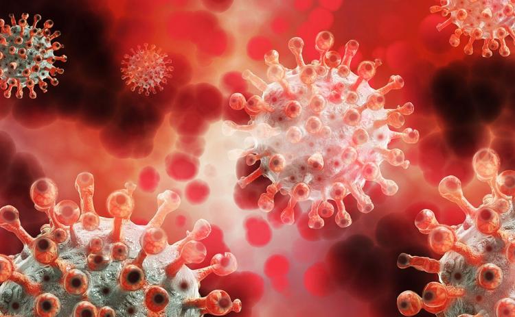 coronavirus