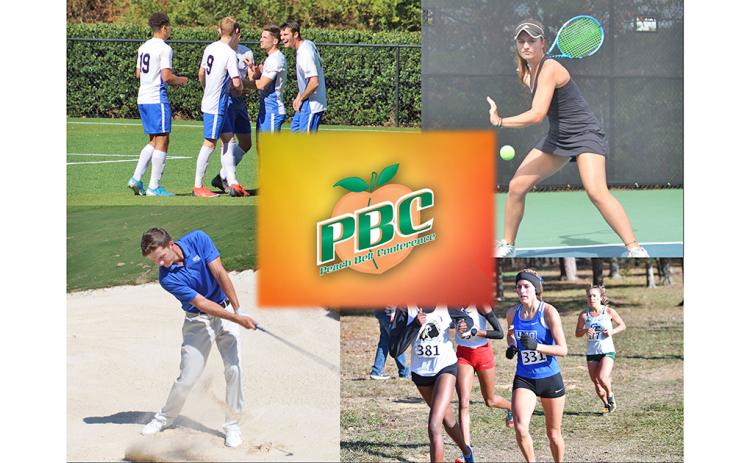 North Georgia fall sports
