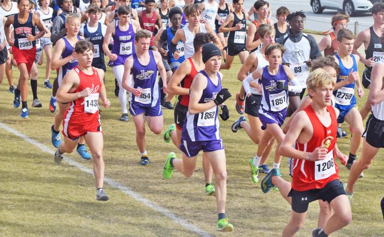 Runners of the Lumpkin County High School Boys Cross Country team try to separate themselves from the pack near the start of the race at the GHSA Cross Country State Championships meet in Carrolton on Friday.