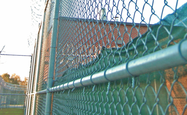Officers were able to thwart an unusual escape attempt after an inmate climbed into the ceiling at Lumpkin County Detention Center last week.