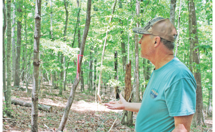 Dr. Trent Conner points out a red survey flag marking the limit of disturbance for a potential two-lane paved road that would run behind his Rock House Road property.