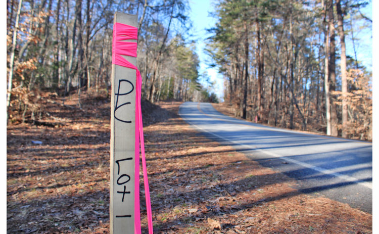 Plans have been approved for a new subdivision on Captain McDonald Road, bordering the popular Yahoola Creek Park.