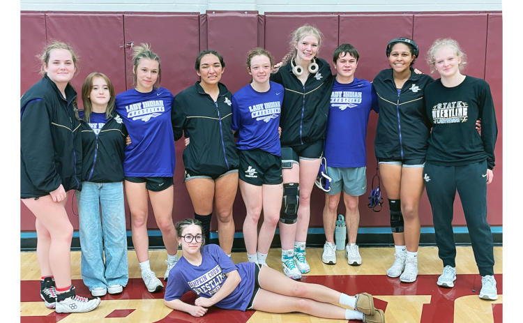 All eight Lumpkin girls wrestling team members who competed in Sectionals punched their tickets to State.