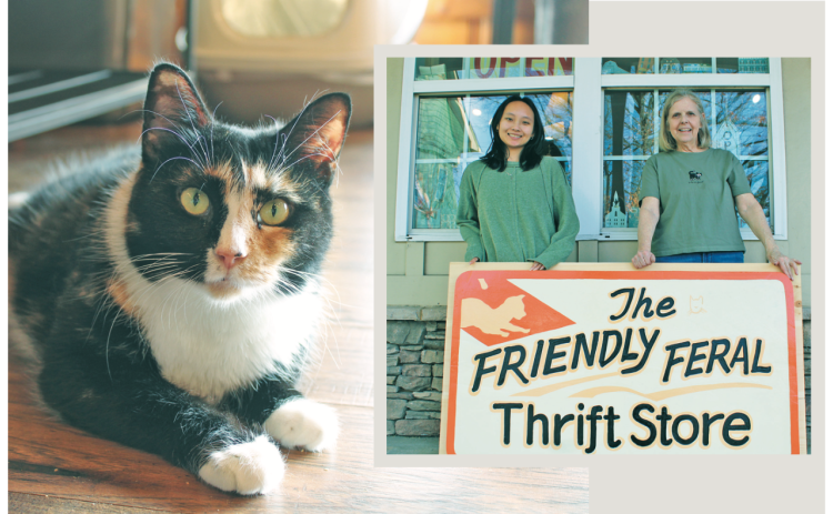 LEFT: Tigra the calico cat is ready to greet visitors at the Feral Cat Program of Georgia’s private rescue shelter located at 4318 S. Chestatee Street. RIGHT: UNG senior Graceson Casey and Jan House (right) support FCPGA by volunteering at The Friendly Feral Thrift Store.