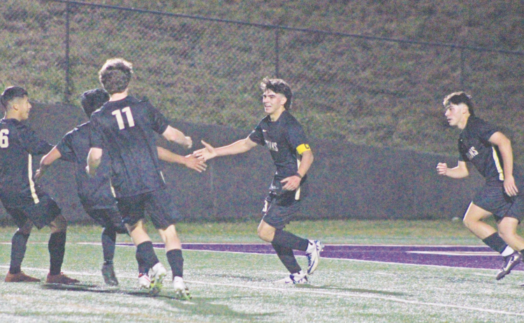 Devin Alvarez celebrates his goal against Dawson with his Lumpkin teammates.