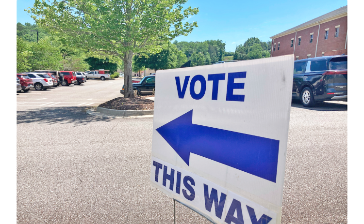 Local voters cast their ballots at the Lumpkin County Parks & Rec building last week to decide a wide variety of races, many of which must still be decided in the upcoming June 16 runoff.