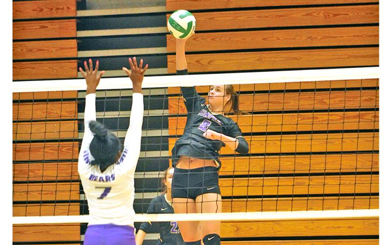 Lady Indians player Makenzie Caldwell gets up high to put a powerful spike on the ball. Caldwell was one of two Lady Indians to be named to the All-Area Team.