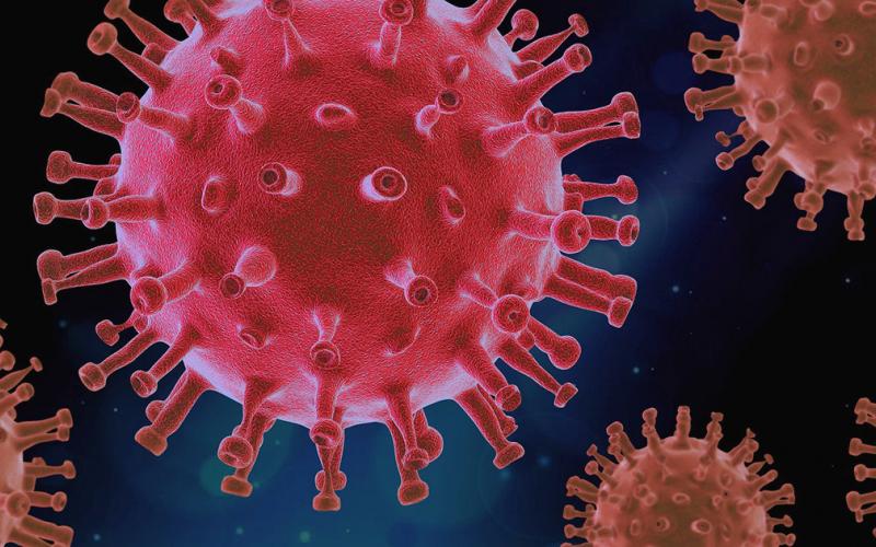 Lumpkin’s confirmed cases of coronavirus doubles