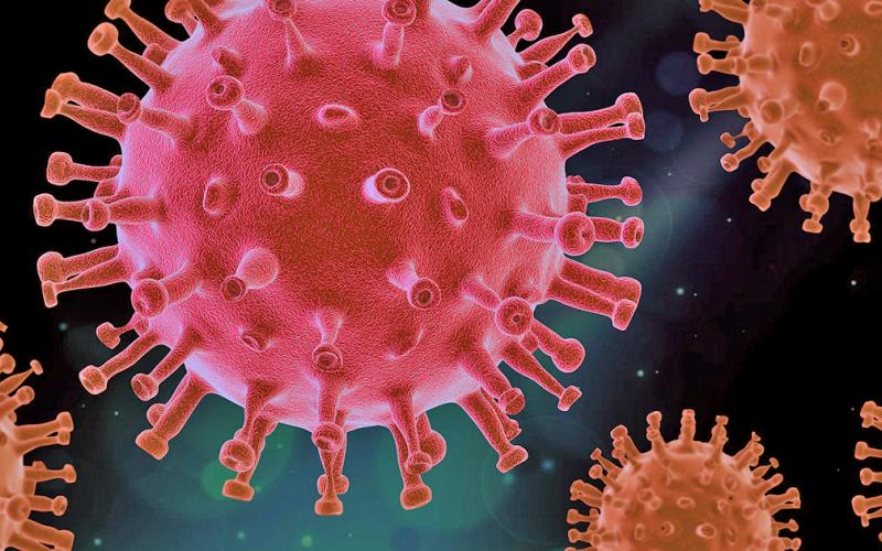 Local virus totals trend downward