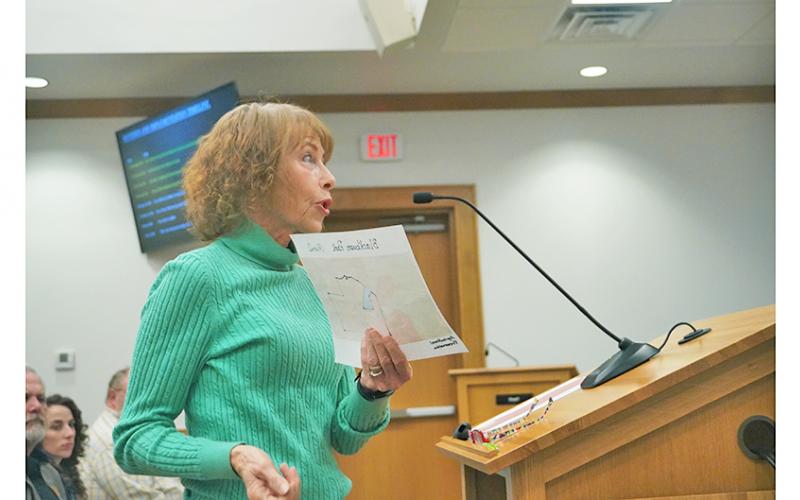 Dedee Formica voices her opinions about the proposed Animal Shelter at the recent Board of Commissioners public hearing.
