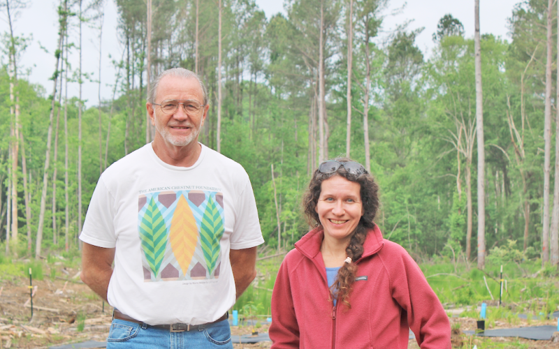 TACF state chapter president Jack Rogers and Dr. Karrie Ann Fadroski of the UNG Biology department are working to neutralize the dual threats of chestnut blight and root rot.