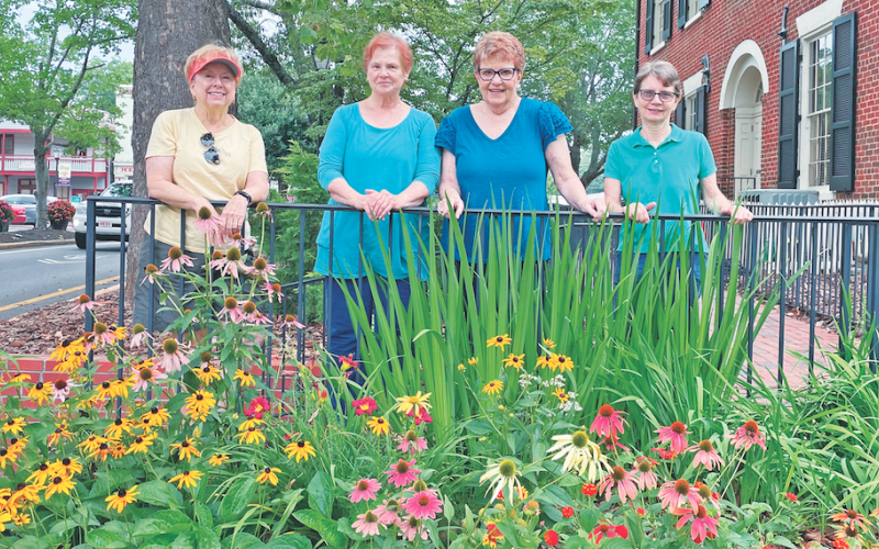 Pictured (from left) Donna Buchanan, Sandy Chapman, Ann Boulden and Jean Farabee are working to make the Gold Museum gardens colorful and welcoming to visitors.