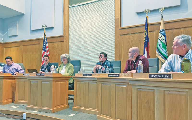 The Dahlonega City Council has passed a moratorium on certain wall-based painted signs, including murals, as they consider potential additions to the City Code.