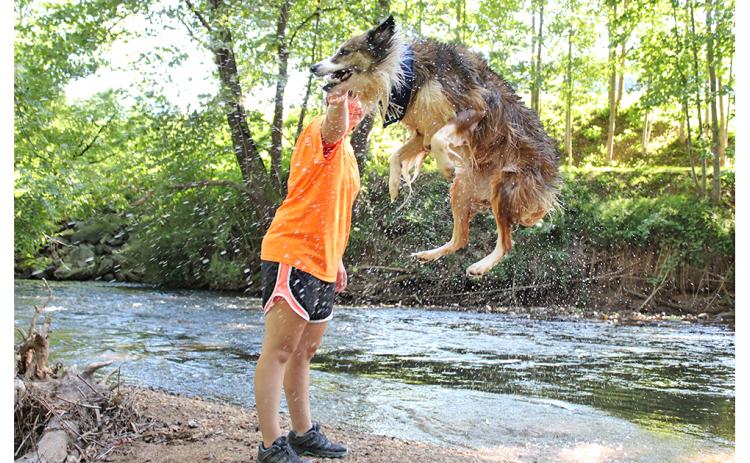 Amy Looby and Sienna the Australian-mix make a great team as new members of the Dahlonega Toss & Fetch Club. 