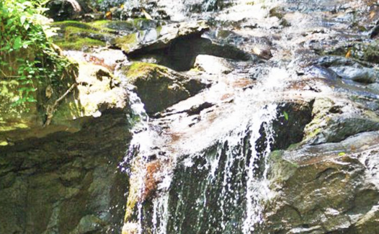 At DeSoto Falls, multiple hikers saw a woman drop from the top of the rocky falls last Saturday. She was transported via helicopter to Northeast Georgia Medical Center.
