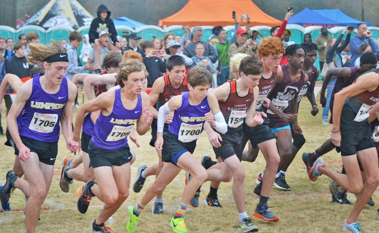The fast-moving Lumpkin County High School cross-country team takes off from the starting line at the state meet in Carrollton.-photo by Graham Edwards