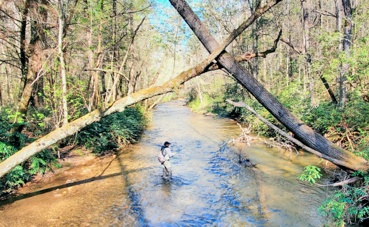 The issue of fishing rights has become a tangled matter lately after a new state bill drew the ire of some fly fishing business owners in the North Georgia region. (Photo by Jack Howland)